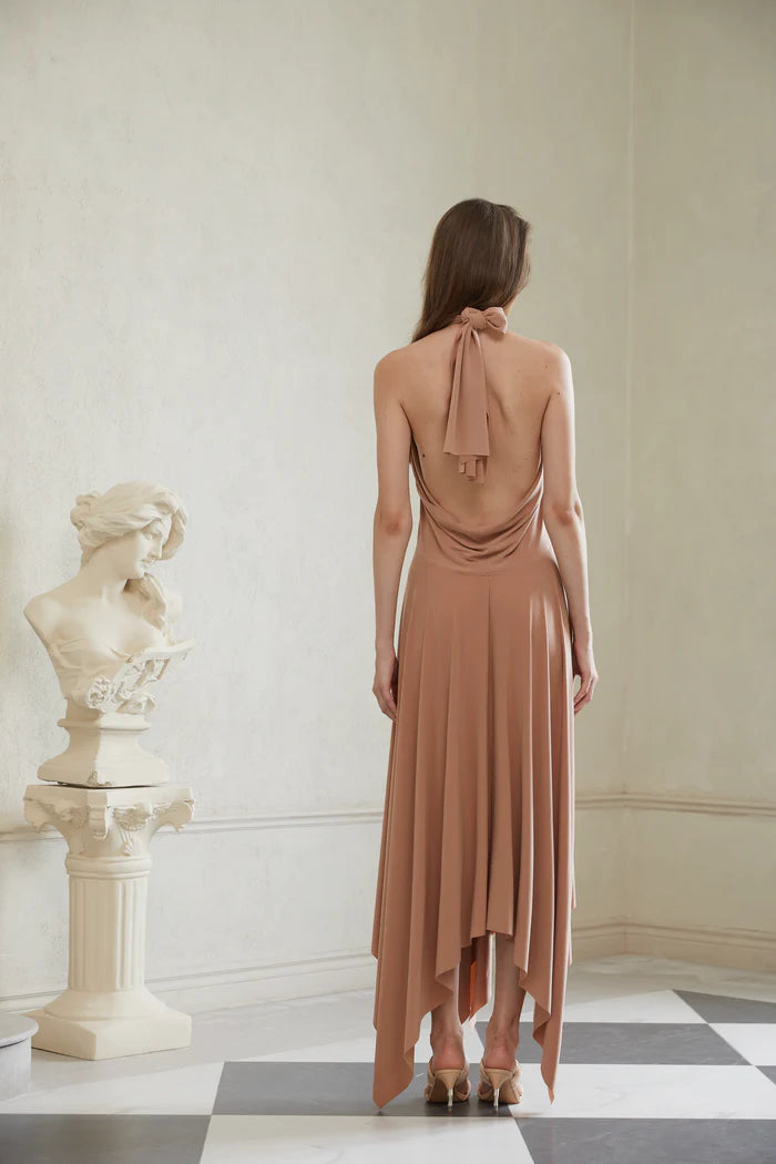 Elegant Nude Halter Asymmetrical Open Back Floor Length Evening Dresses