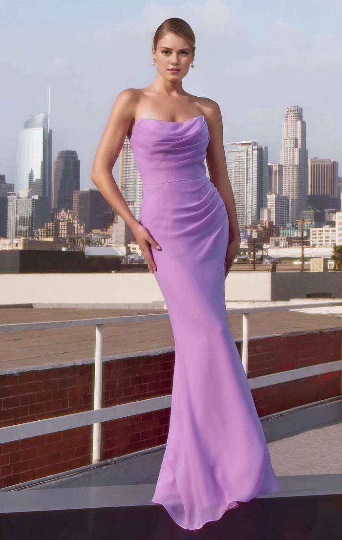 Haven Gown - Chiffon Fitted Long Strapless Dress