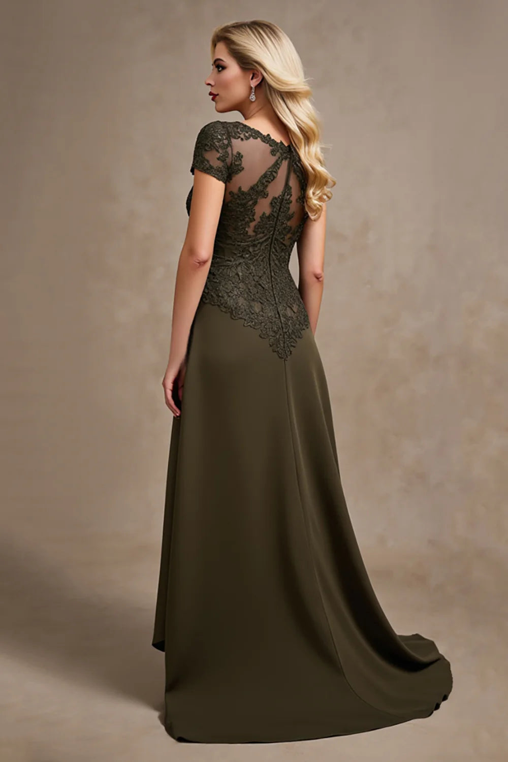 Refined Lace-Bodice Chiffon A-Line V-Neck Short-Sleeve High-Low Mother of the Bride Dress