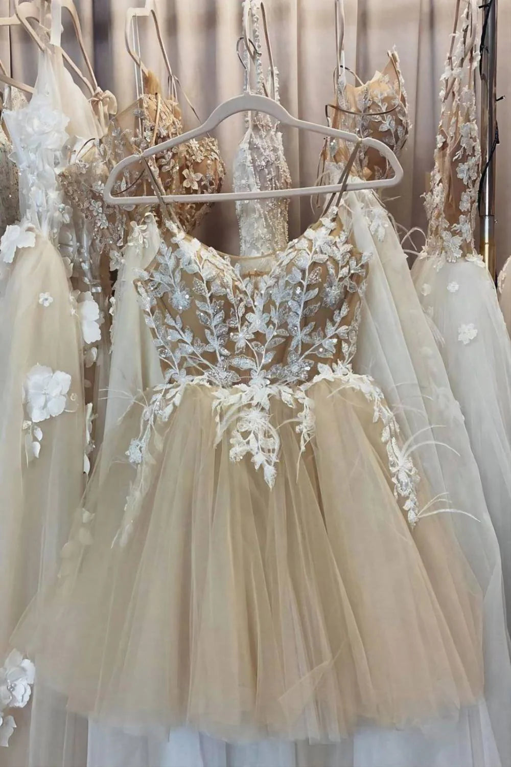 Romantic Champagne Short Homecoming Dress With Applique