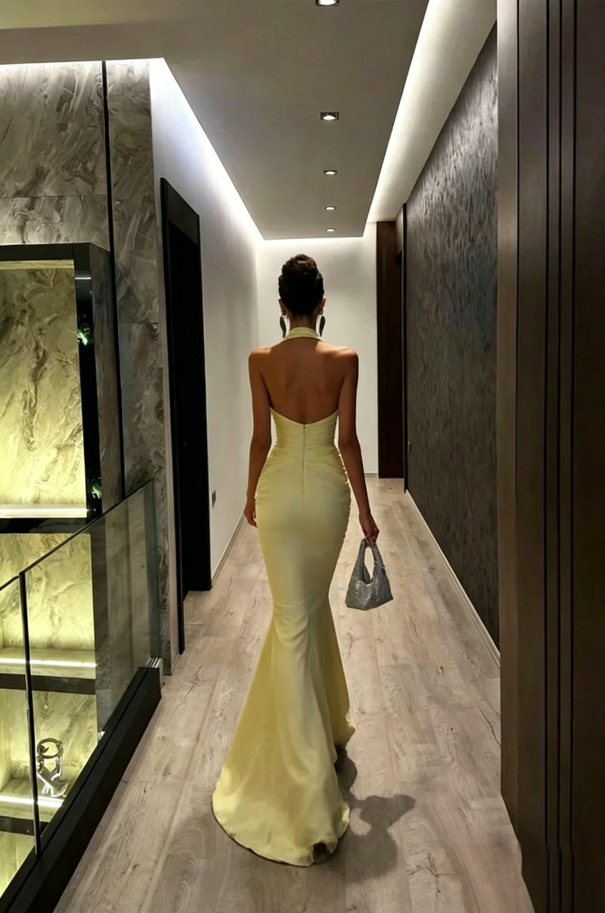 Stunning Mermaid Halter Neck Sleeveless Open Back Floor Length Evening Dress