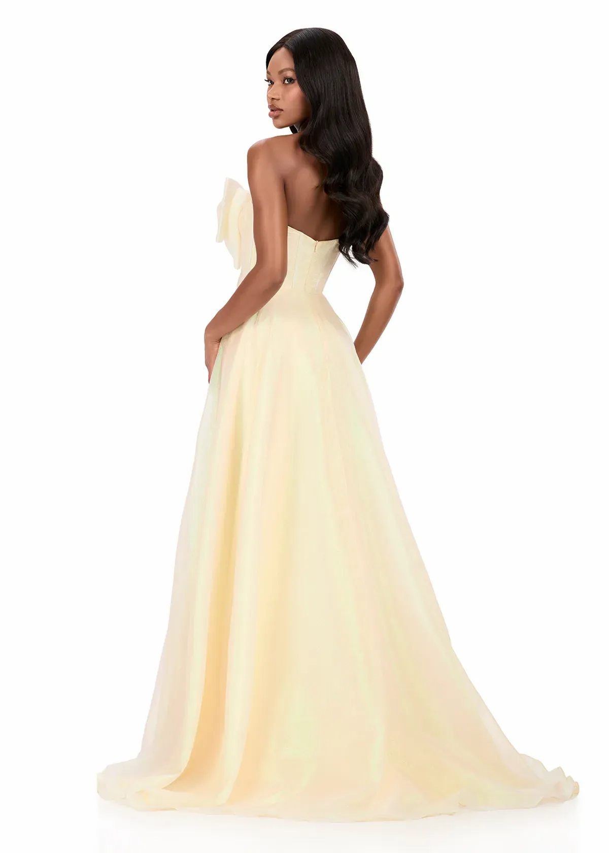 Whimsical Ball Gown Strapless Sleeveless Corset Back Floor-Length Evening Dress